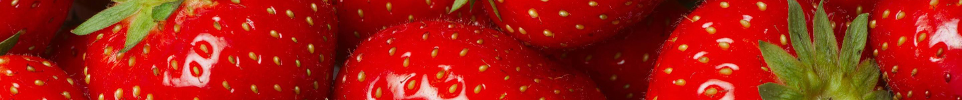Nice image representing summer