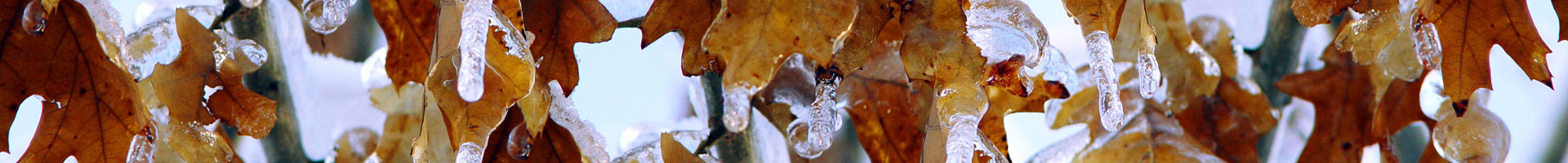 Nice image representing winter