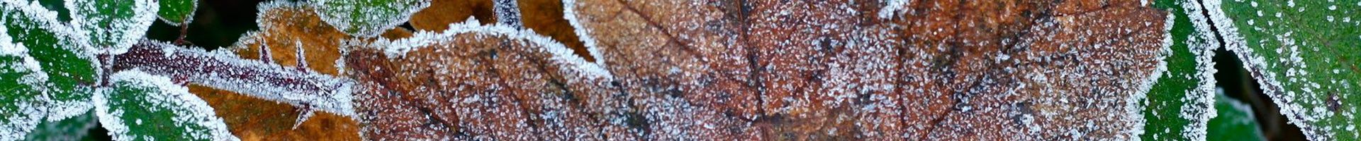 Nice image representing winter