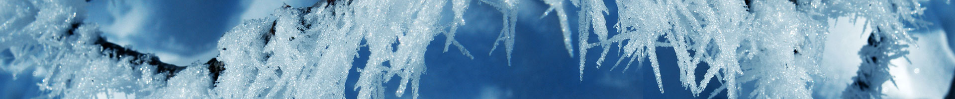 Nice image representing winter