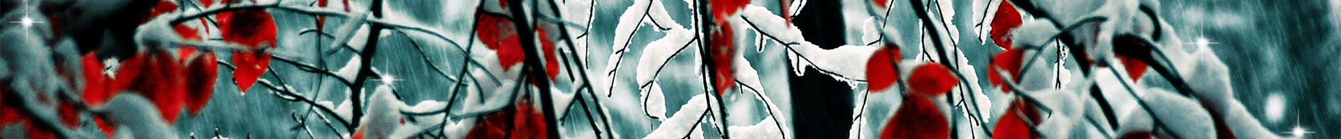 Nice image representing winter